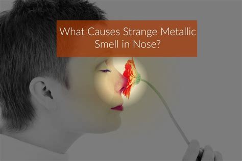 metal smell in house|why am i smelling metal.